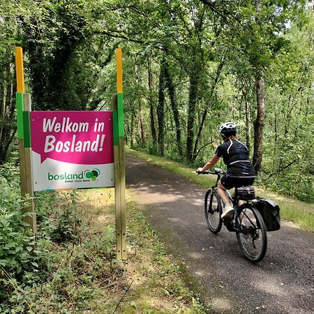 Bosrand81 Apartment Hechtel-Eksel Luaran gambar