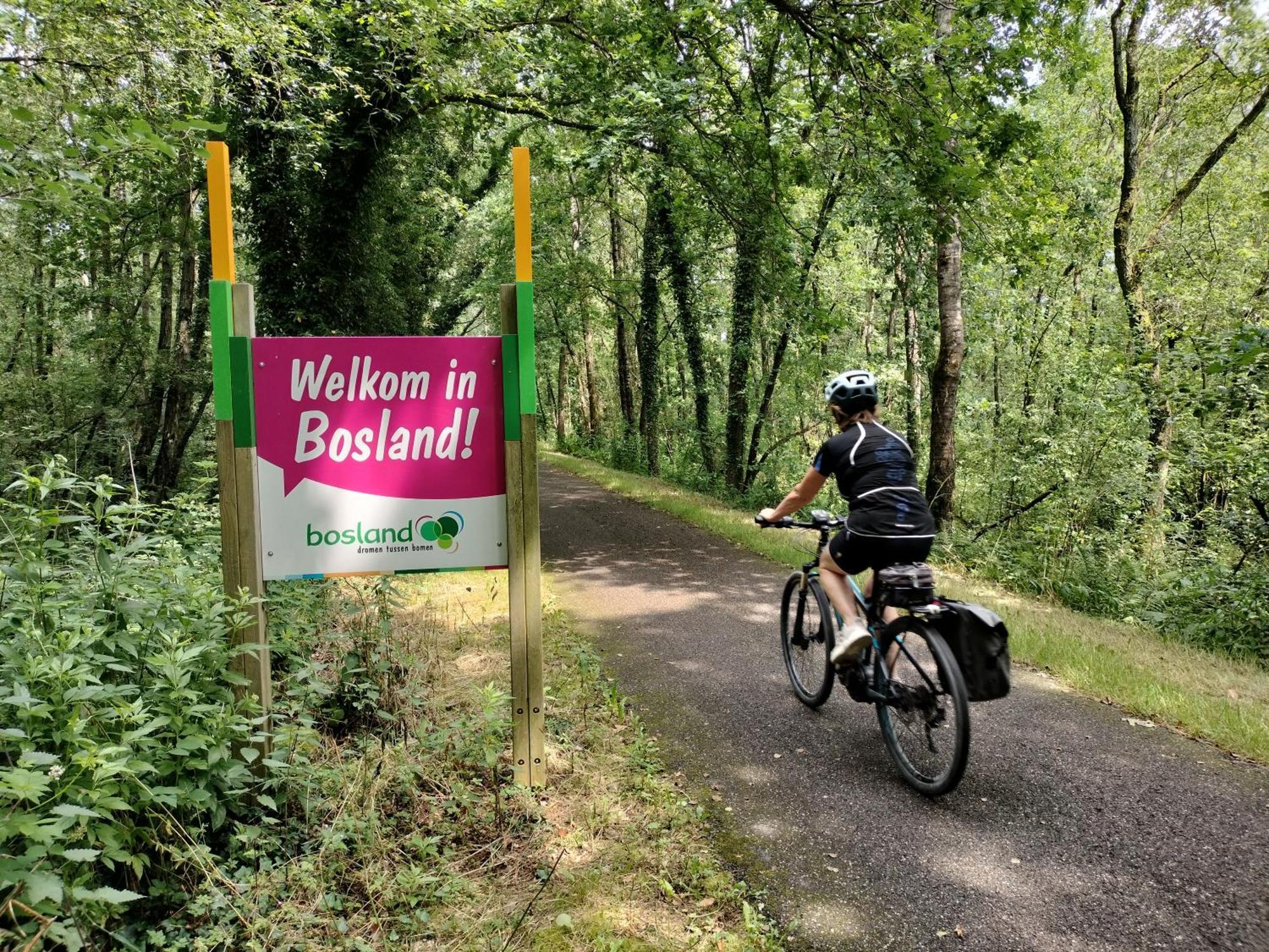 Bosrand81 Apartment Hechtel-Eksel Luaran gambar